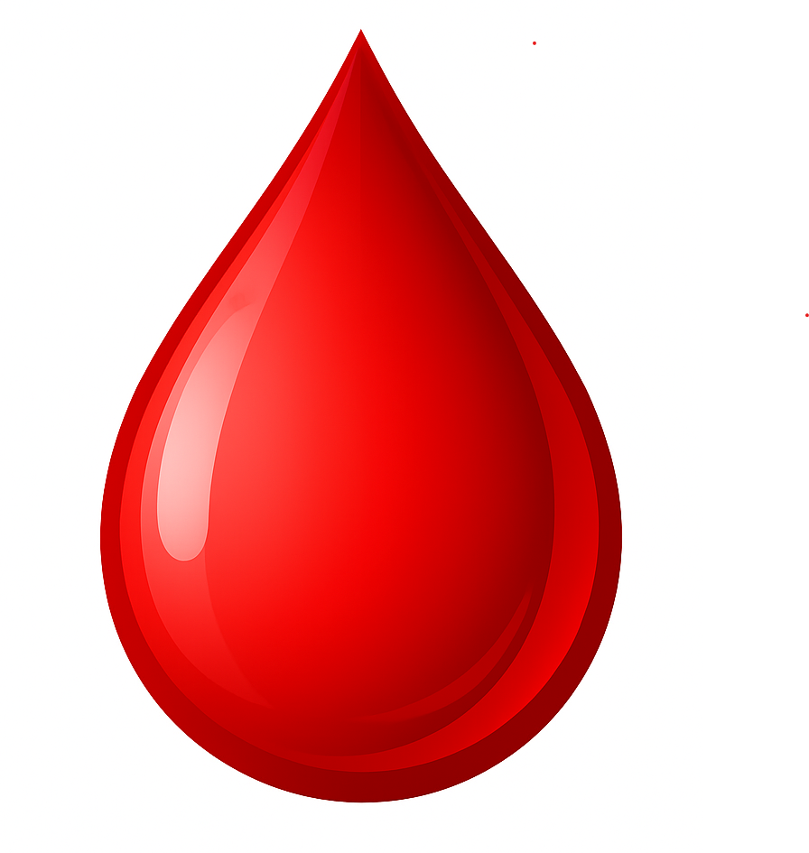 Blood Bank Management System